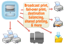 INTELLIscribe lpr client ip printing software example